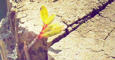 pics04