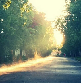 pics03
